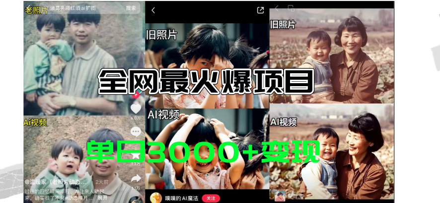 （11546期）全网爆火的AI让老照片动起来教程，蹭热点日赚3000+，内含免费工具一键…-沧海聊项目