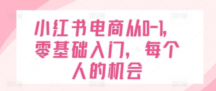 小红书电商从0-1,零基础入门,每个人的机会-沧海聊项目