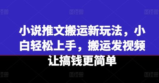 小说推文搬运新玩法，小白轻松上手，搬运发视频让搞钱更简单-沧海聊项目