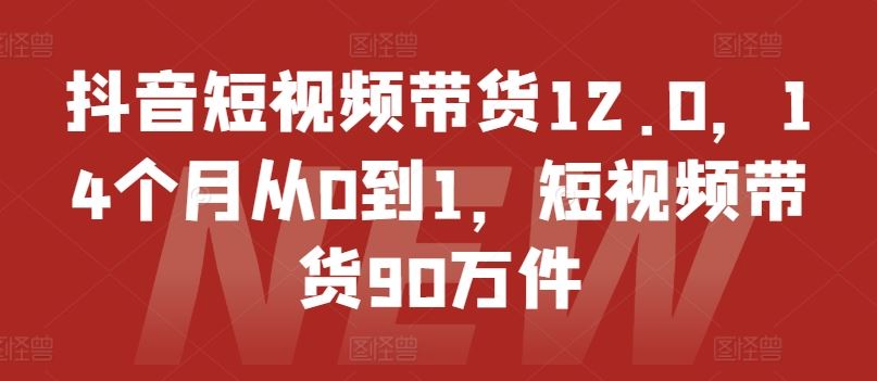 抖音短视频带货12.0,14个月从0到1,短视频带货90万件-沧海聊项目