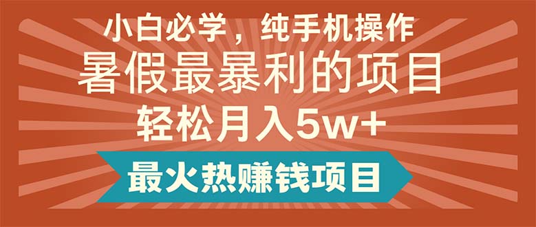 （11583期）小白必学，纯手机操作，暑假最暴利的项目轻松月入5w+最火热赚钱项目-沧海聊项目