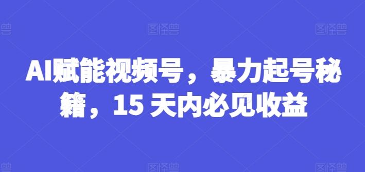 AI赋能视频号，暴力起号秘籍，15 天内必见收益【揭秘】-沧海聊项目