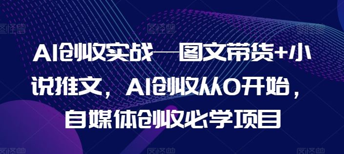 AI创收实战—图文带货+小说推文，AI创收从0开始，自媒体创收必学项目-沧海聊项目