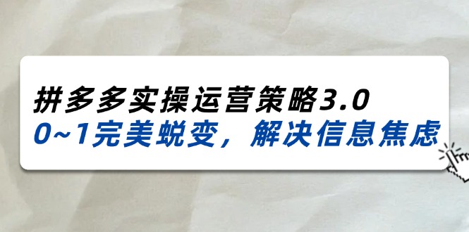 (11658期)2024_2025拼多多实操运营策略3.0,0~1完美蜕变,解决信息焦虑(38节)-沧海聊项目