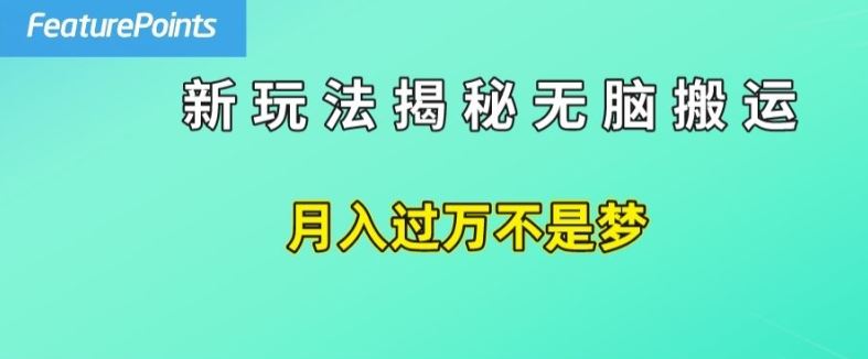 简单操作，每天50美元收入，搬运就是赚钱的秘诀【揭秘】-沧海聊项目