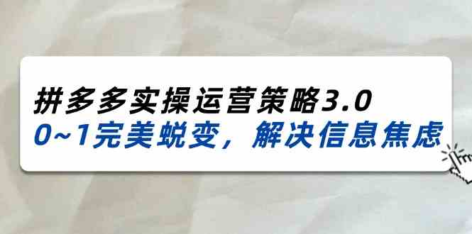2024-2025拼多多实操运营策略3.0,0~1完美蜕变,解决信息焦虑(38节)-沧海聊项目