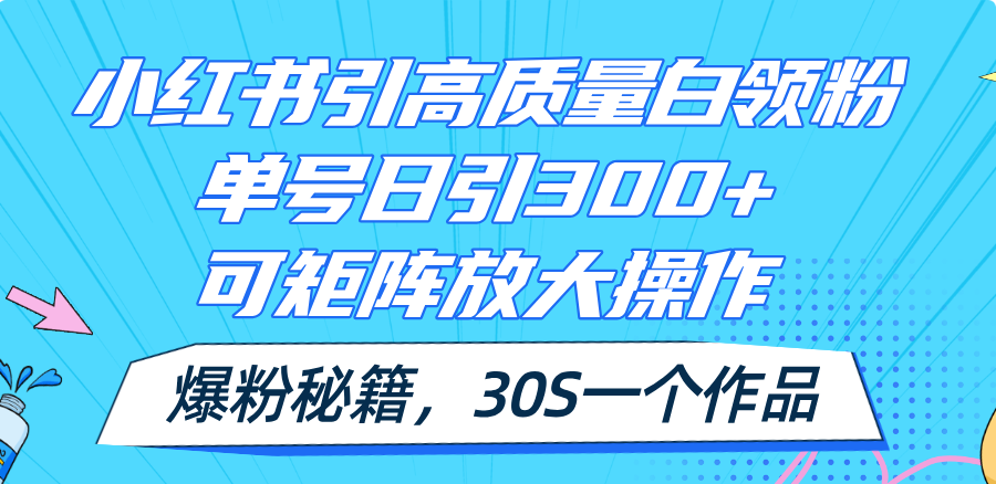 (11692期)小红书引高质量白领粉,单号日引300+,可放大操作,爆粉秘籍!30s一个作品-沧海聊项目