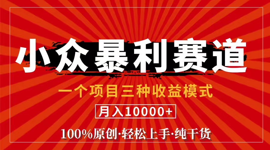 （11695期）视频号【中老年粉深信不疑】小众赛道 100%原创 手把手教学 新号3天收益…-沧海聊项目
