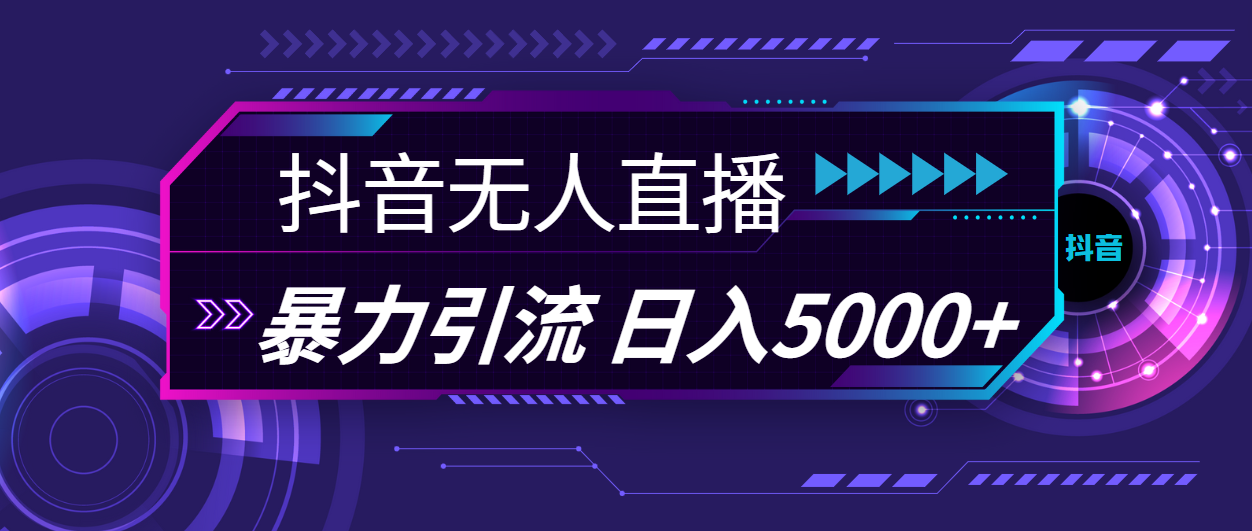 （11709期）抖音无人直播，暴利引流，日入5000+-沧海聊项目