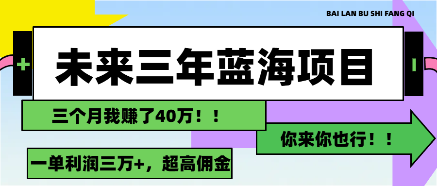 （11716期）未来三年，蓝海赛道，月入3万+-沧海聊项目