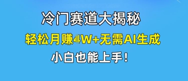 冷门赛道大揭秘，轻松月赚1W+无需AI生成，小白也能上手【揭秘】-沧海聊项目