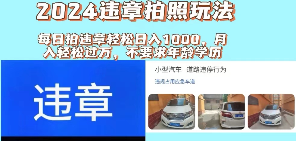 (11743期)2024违章拍照新玩法,推广躺赚+拍照赚钱双模式,日入1000+-沧海聊项目