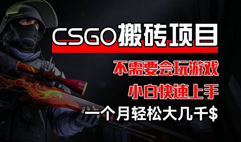CSGO 装备搬砖项目，操作简单，不需要会玩游戏，小白也能快速上手，一个月轻松大几千【揭秘】-沧海聊项目
