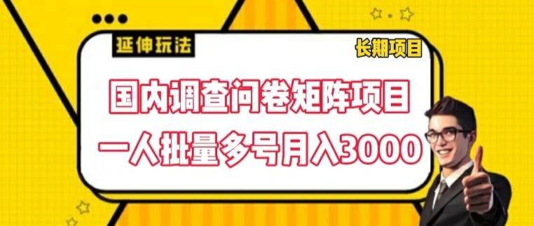 国内调查问卷矩阵项目,一人批量多号月入3000【揭秘】-沧海聊项目
