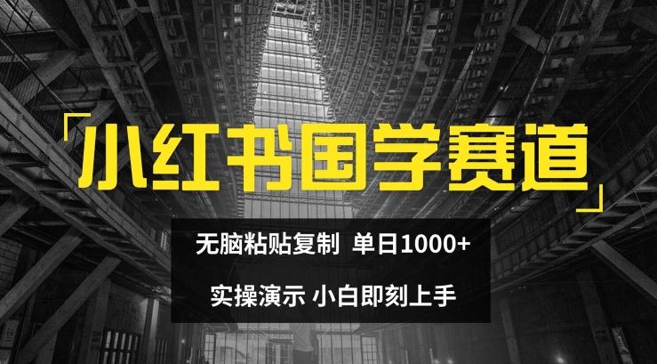 小红书国学赛道，无脑粘贴复制，单日1K，实操演示，小白即刻上手【揭秘】-沧海聊项目