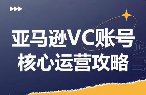 亚马逊VC账号核心玩法解析,实战经验拆解产品模块运营技巧,提升店铺GMV,有效提升运营利润-沧海聊项目