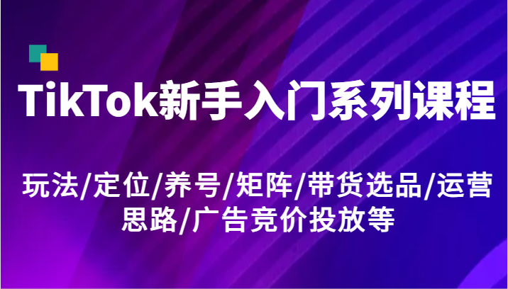 TikTok新手入门系列课程,玩法/定位/养号/矩阵/带货选品/运营思路/广告竞价投放等-沧海聊项目