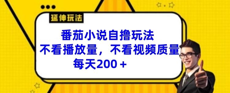 番茄小说自撸玩法，不看播放量，不看视频质量，每天200+【揭秘】-沧海聊项目