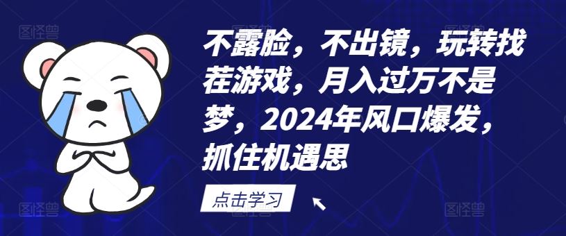 不露脸，不出镜，玩转找茬游戏，月入过万不是梦，2024年风口爆发，抓住机遇【揭秘】-沧海聊项目