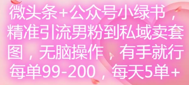 微头条+公众号小绿书,精准引流男粉到私域卖套图,无脑操作,有手就行,每单99-200,每天5单-沧海聊项目