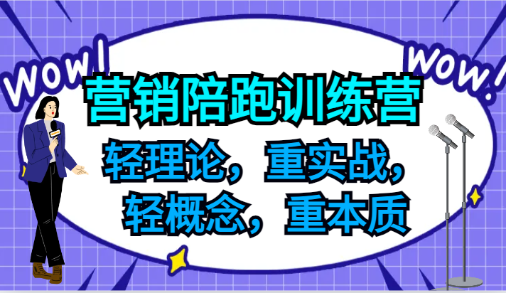 营销陪跑训练营,轻理论,重实战,轻概念,重本质,适合中小企业和初创企业的老板-沧海聊项目