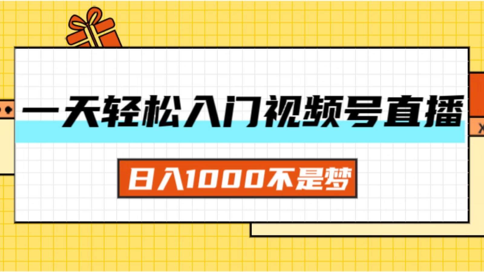 （11906期）一天入门视频号直播带货，日入1000不是梦-沧海聊项目