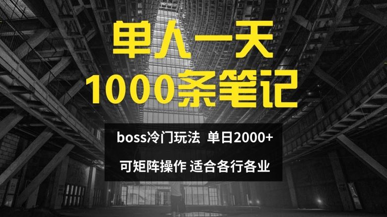 单人一天1000条笔记，日入2000+，BOSS直聘的正确玩法【揭秘】-沧海聊项目