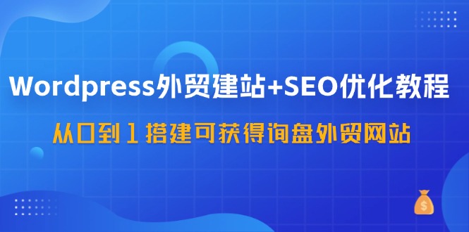 WordPress外贸建站+SEO优化教程，从0到1搭建可获得询盘外贸网站（57节课）-沧海聊项目