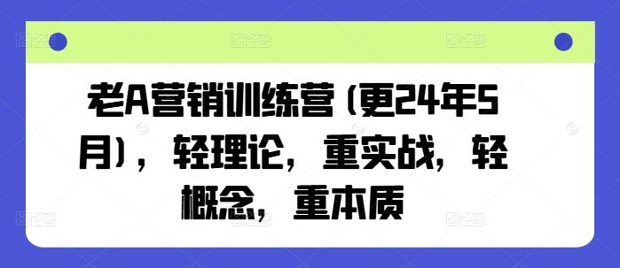 老A营销训练营(更24年7月),轻理论,重实战,轻概念,重本质-沧海聊项目