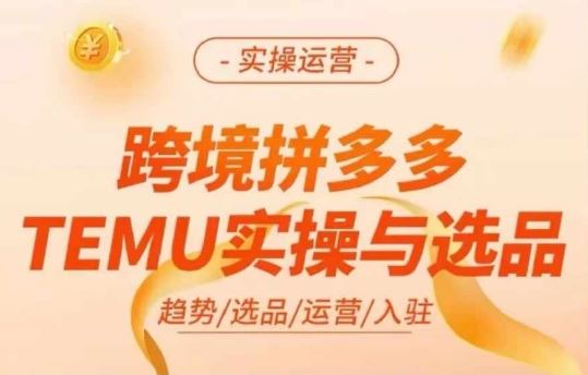 跨境拼多多TEMU实操与选品,多多temu跨境选品运营实操-沧海聊项目