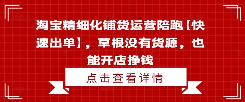 淘宝精细化铺货运营陪跑【快速出单】,草根没有货源,也能开店挣钱-沧海聊项目