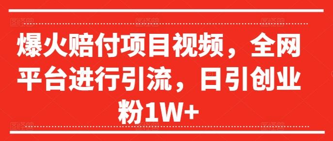 爆火赔付项目视频，全网平台进行引流，日引创业粉1W+【揭秘】-沧海聊项目