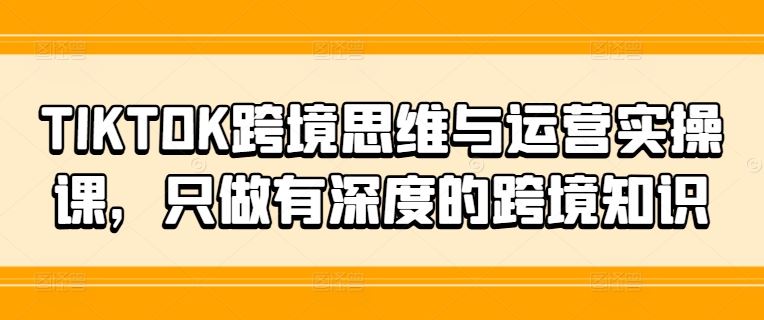 TIKTOK跨境思维与运营实操课，只做有深度的跨境知识-沧海聊项目