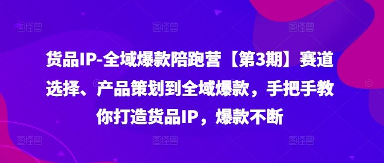 货品IP全域爆款陪跑营【第3期】赛道选择、产品策划到全域爆款,手把手教你打造货品IP,爆款不断-沧海聊项目