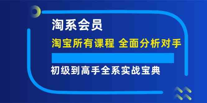 淘系会员初级到高手全系实战宝典【淘宝所有课程，全面分析对手】-沧海聊项目