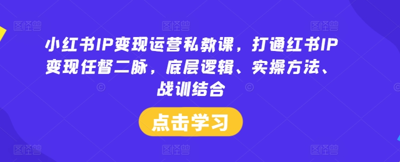 小红书IP变现运营私教课,打通红书IP变现任督二脉,底层逻辑、实操方法、战训结合-沧海聊项目