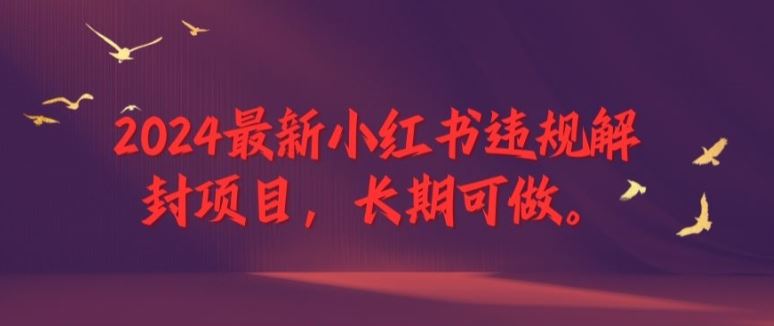 2024最新小红书违规解封项目，长期可做，一个可以做到退休的项目【揭秘】-沧海聊项目