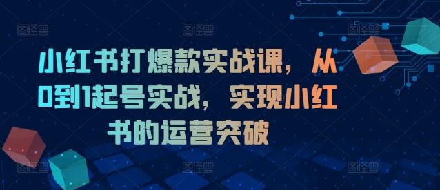 小红书打爆款实战课，从0到1起号实战，实现小红书的运营突破-沧海聊项目