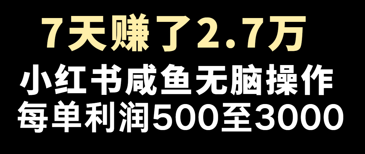 七天赚了2.7万！每单利润最少500+，轻松月入5万+小白有手就行-沧海聊项目