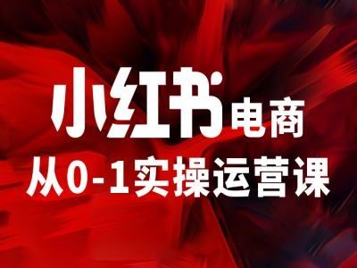 小红书电商从0-1实操运营课,让你从小白到精英-沧海聊项目