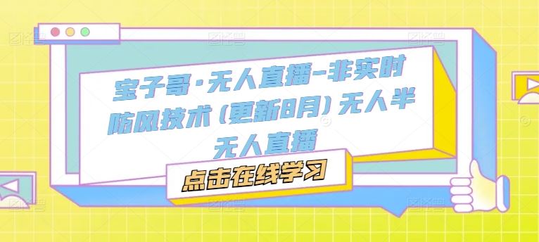 宝子哥·无人直播-非实时防风技术(更新8月)无人半无人直播-沧海聊项目