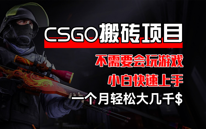 （12332期）CSGO 装备搬砖项目，操作简单，不需要会玩游戏，小白也能快速上手，一…-沧海聊项目