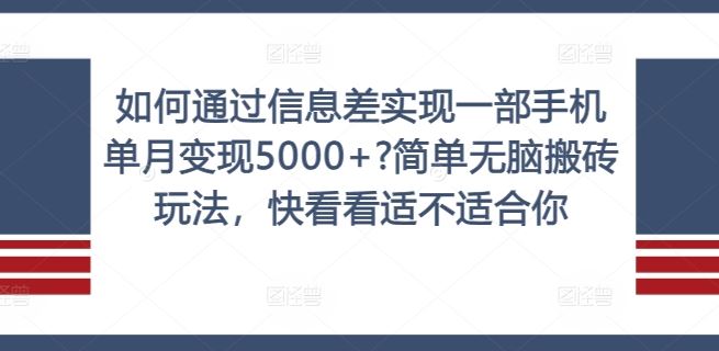 如何通过信息差实现一部手机单月变现5000+?简单无脑搬砖玩法，快看看适不适合你【揭秘】-沧海聊项目