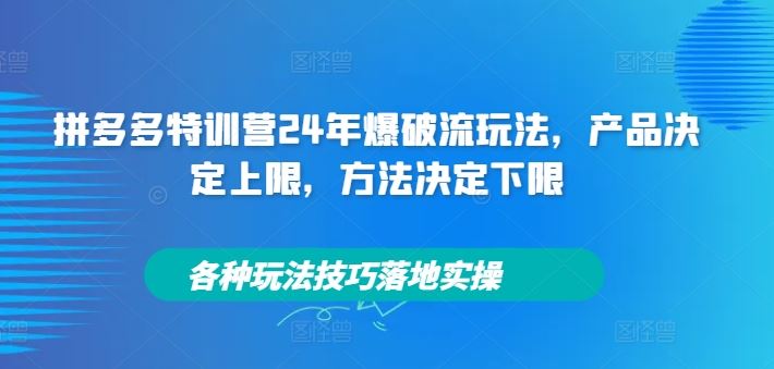 拼多多特训营24年爆破流玩法,产品决定上限,方法决定下限,各种玩法技巧落地实操-沧海聊项目