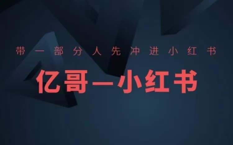 ​​带一部分人先冲进小红书，小红书开店、选品、爆款裂变-沧海聊项目