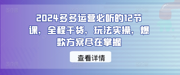 2024多多运营必听的12节课，全程干货，玩法实操，爆款方案尽在掌握-沧海聊项目