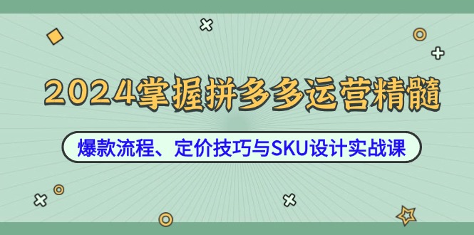 2024掌握拼多多运营精髓：爆款流程、定价技巧与SKU设计实战课-沧海聊项目