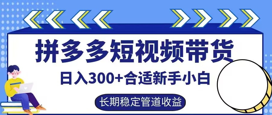 拼多多短视频带货日入300+有长期稳定被动收益，合适新手小白【揭秘】-沧海聊项目