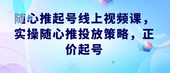 随心推起号线上视频课，实操随心推投放策略，正价起号-沧海聊项目