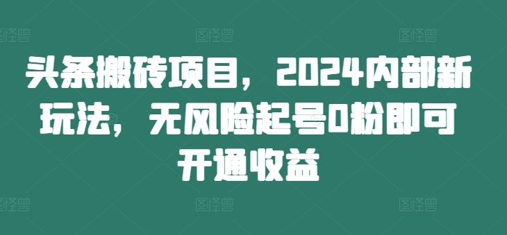 头条搬砖项目，2024内部新玩法，无风险起号0粉即可开通收益-沧海聊项目